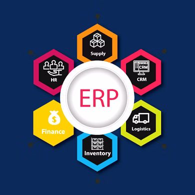 ERP (Enterprise Resource Planning)-REJAG001