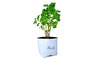 Abono- UV treated poly Grow Bags,medium, pack of 10