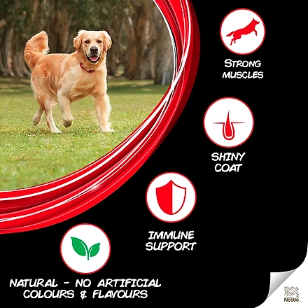 PURINA SUPERCOAT Adult Dry Dog Food, Chicken-10Kg-1