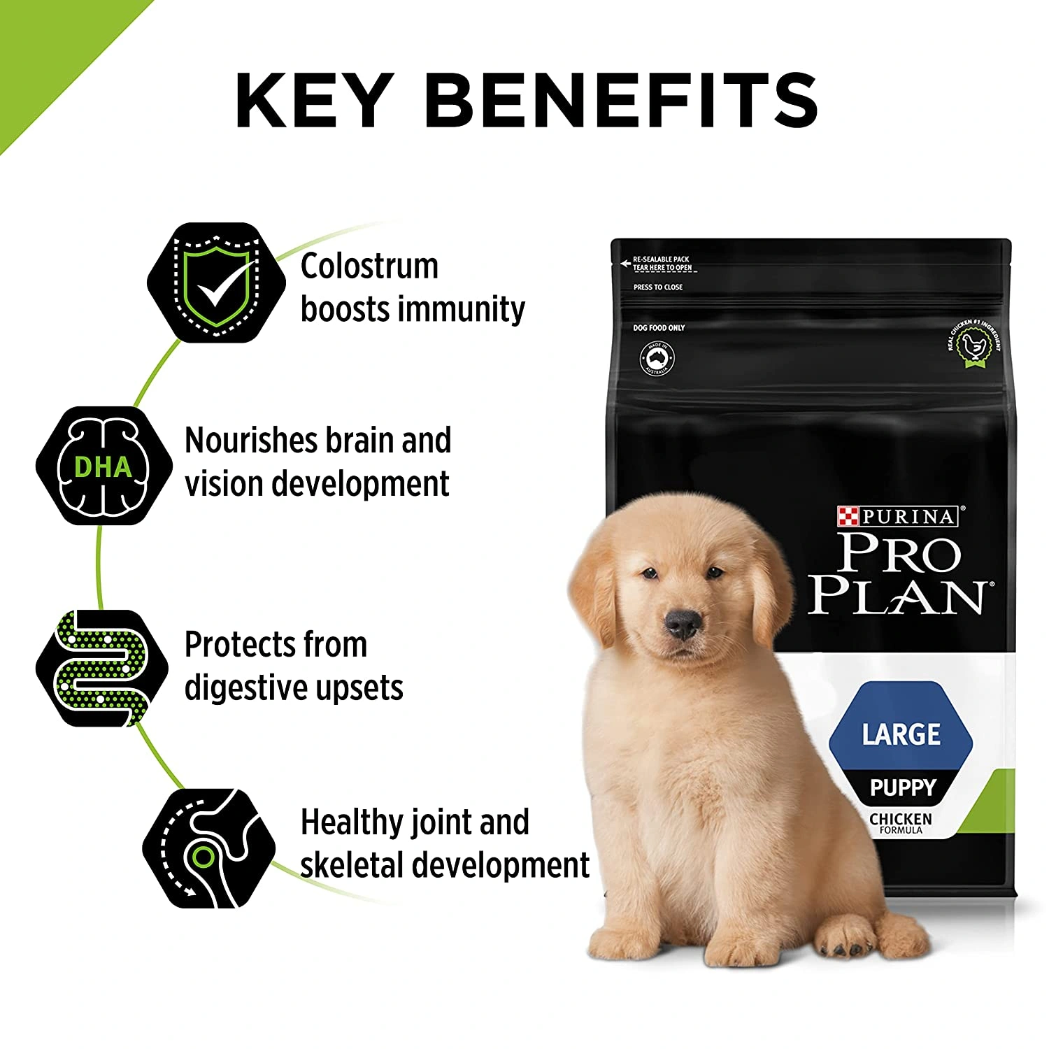PURINA PRO PLAN Puppy Dry Dog Food for Large Breed 2.5kg-2