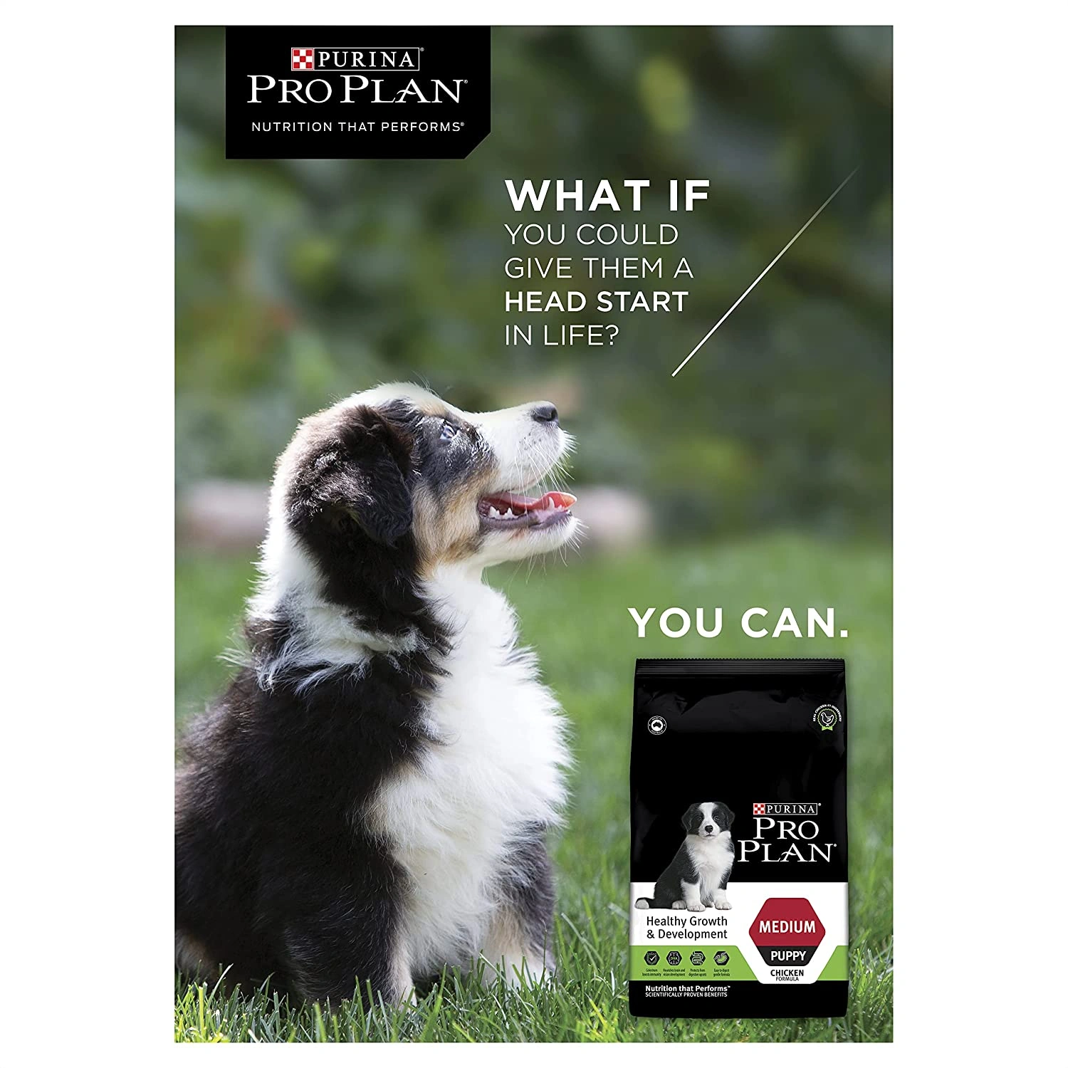 PURINA PRO PLAN Puppy Dry Dog Food for Medium Breed 2.5kg-3