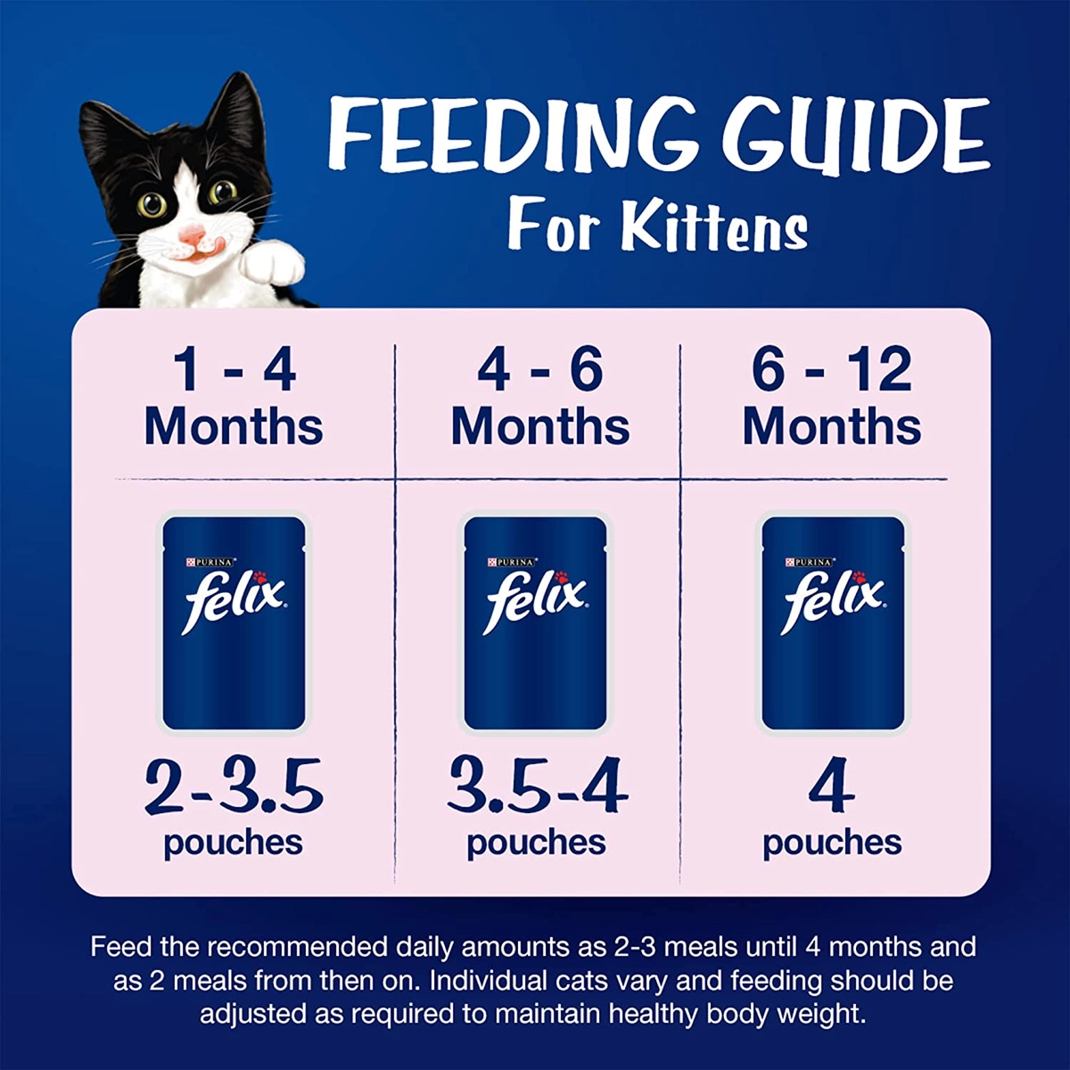 How many grams of wet food to feed a cheap kitten