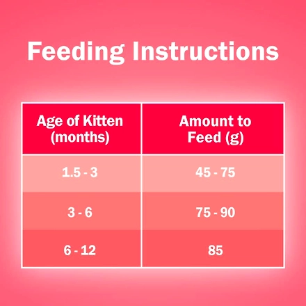 Purina Friskies Kitten Discoveries Baby Cat Dry Food, Tuna Chicken Milk Vegetables &amp; Whole Grain Flavors, 1.1 KG Pack-4