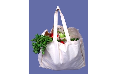 Future of Canvas Bags