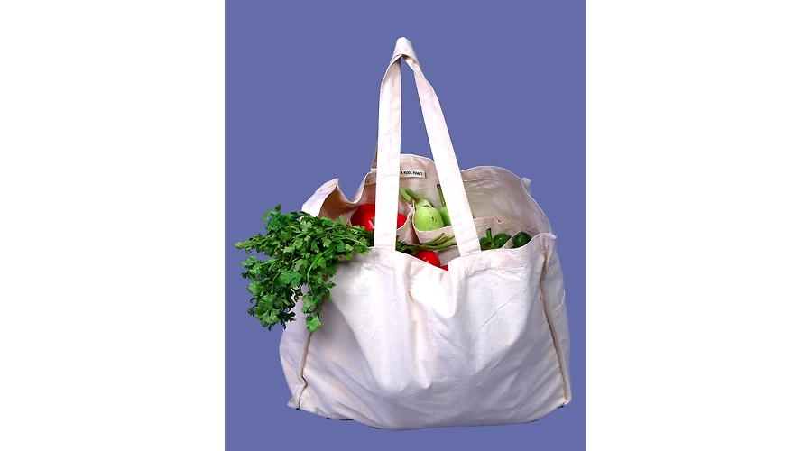 Future of Canvas Bags