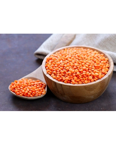 मसूर दाल (लाल)-Dal2