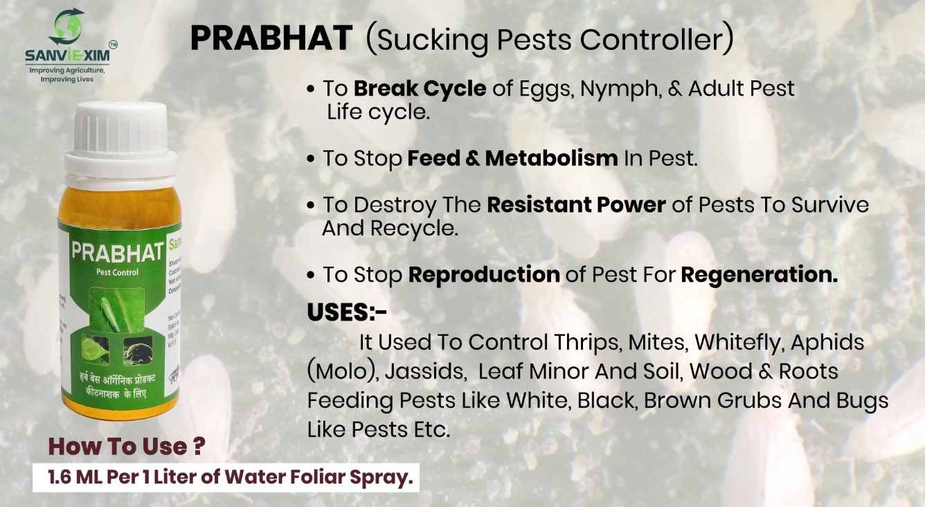 Prabhat - Pest Control-4