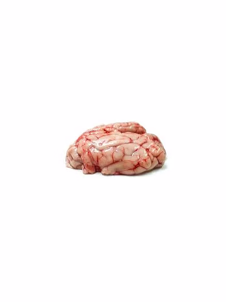 Premium Pork Brain - 500 gm-3