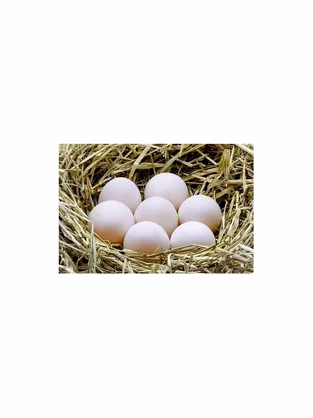 Premium Duck Eggs - 6 Nos-2