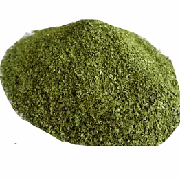 moringa t cut leaves