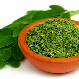 moringa tea bags