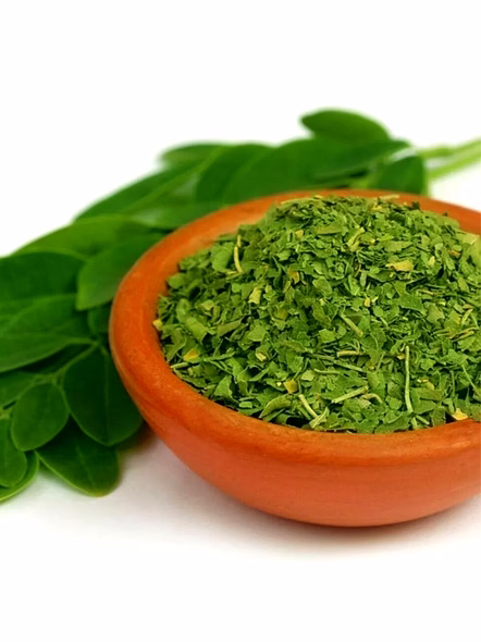 Moringa Tea Bags