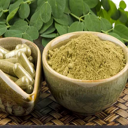 moringa pods powder