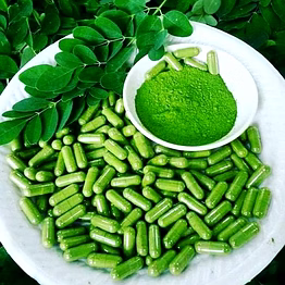 moringa powder capsules