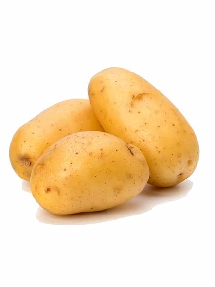 Potato
