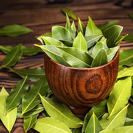 bay leaf