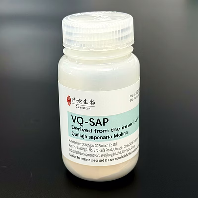 VQ-SAP-Ch1386