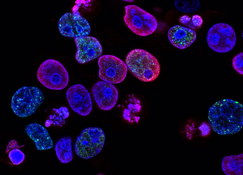 Biotech Research