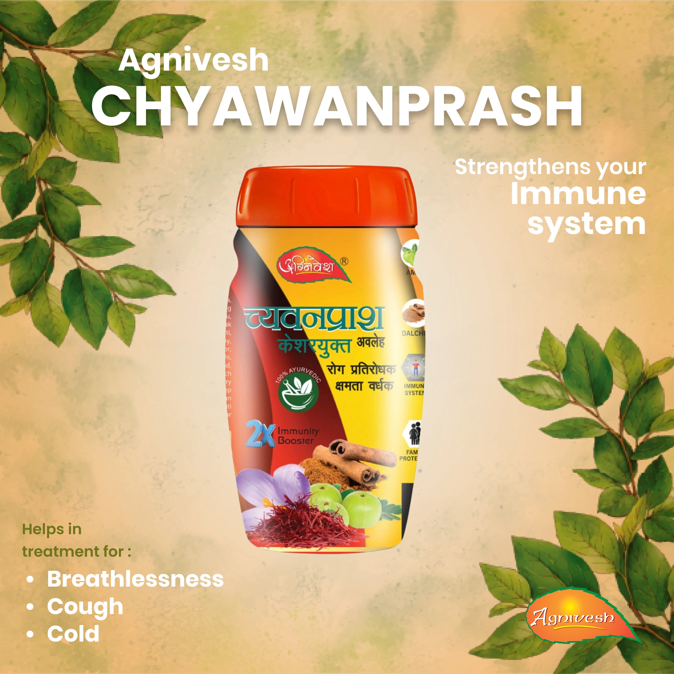 AGNIVESH CHYAWANPRASH-1kg-2