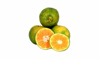 Sweet Lemon (Mosambi)