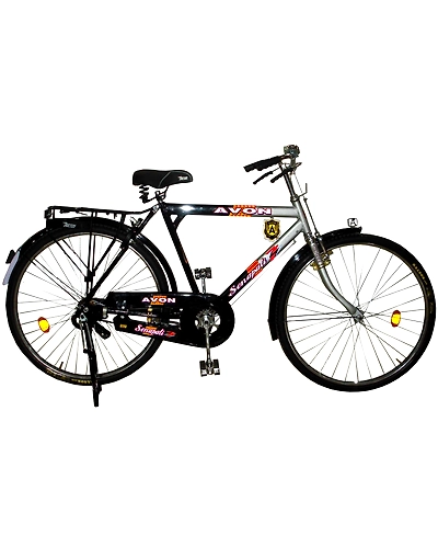 Standard Roadster Bicycle-10411858