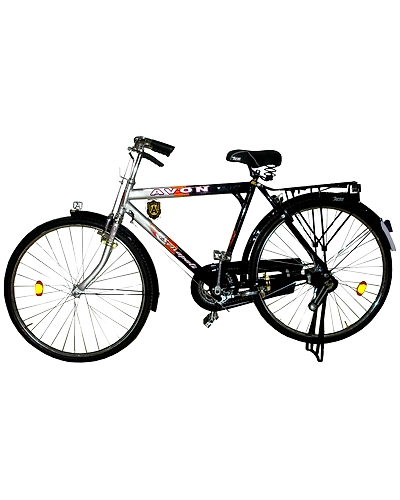 Standard Roadster Bicycle-1