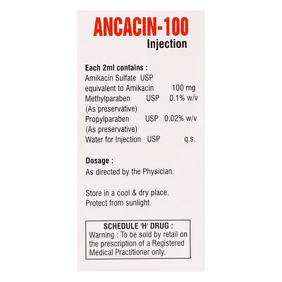 Amikacin Injection 100mg/2ml-2
