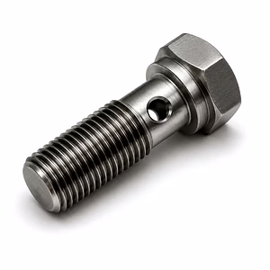 Banjo Bolt