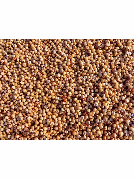 Jowar