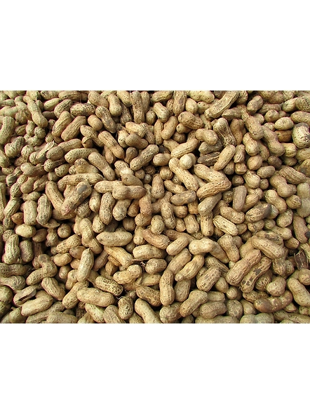 Ground-Nut