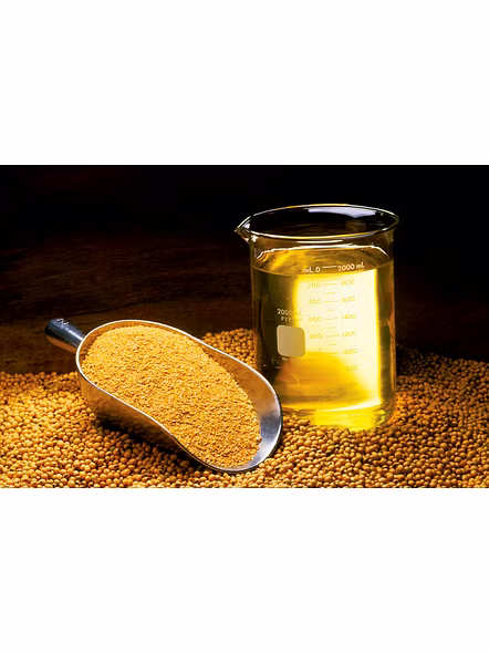 Soyabean Oil