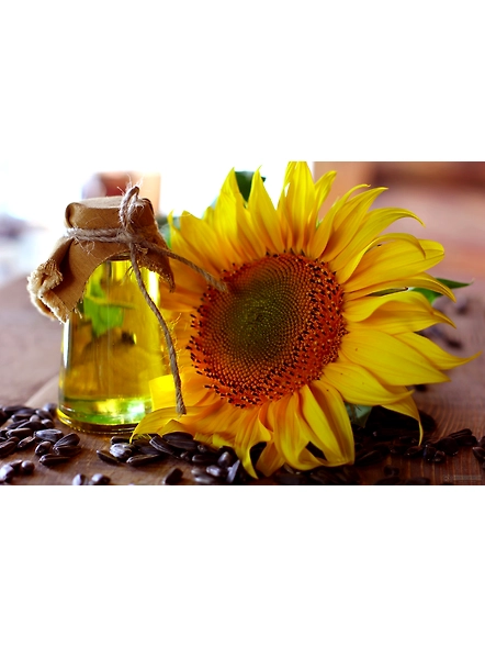 Sunflower Oil