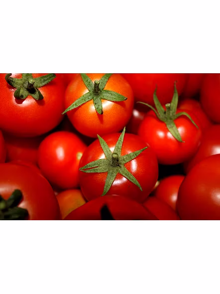 Tomato