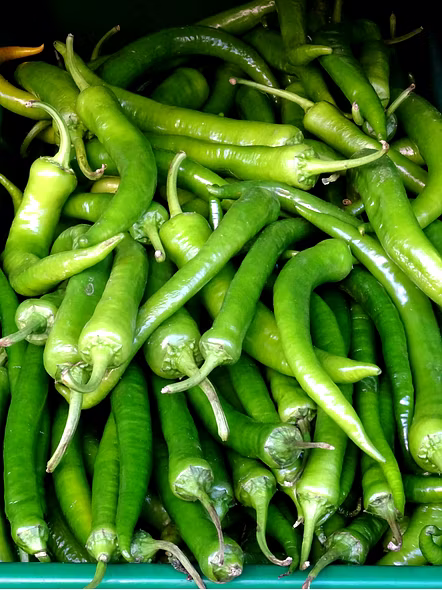 Chilli