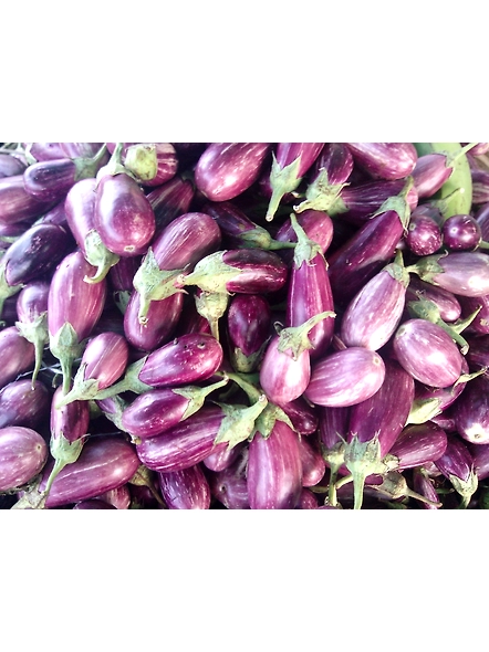 Brinjal-regular