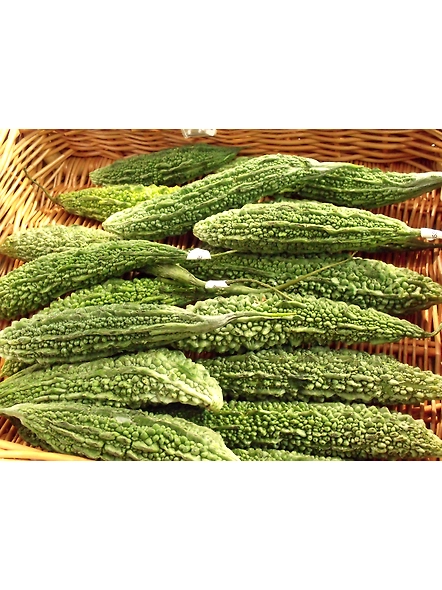 Bitter-gourd