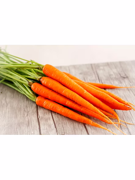 Carrot 