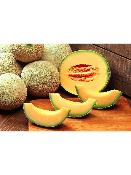 Muskmelon