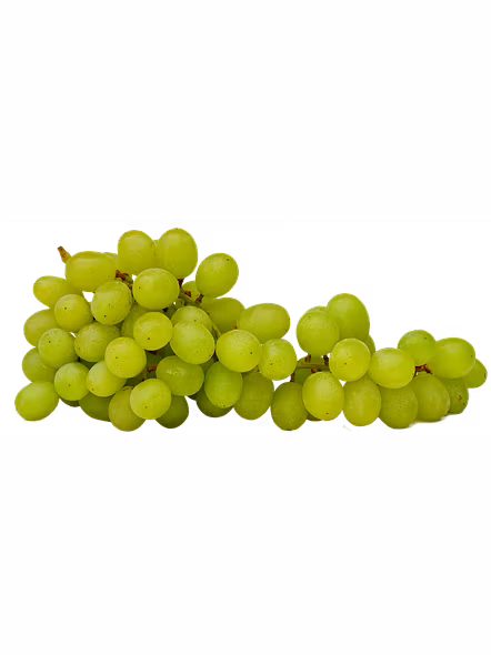 Grapes