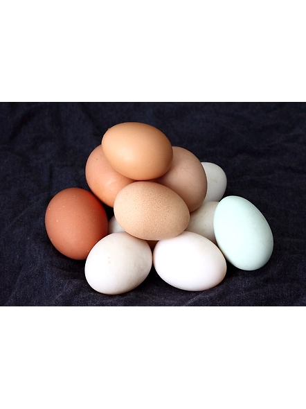 Eggs