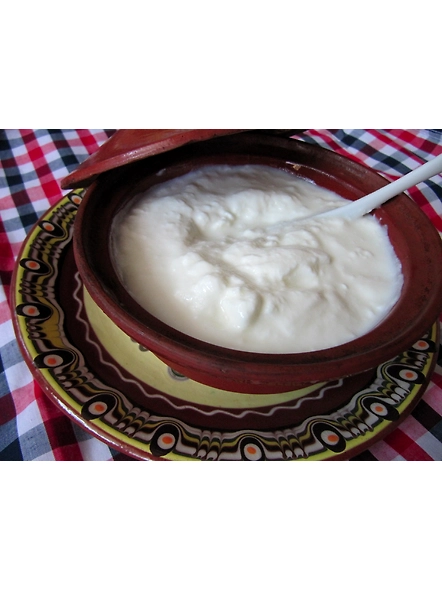 Curd