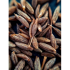 Cumin Seed Whole Organic Spice | Spice | Seasoning | Jeera | Food Grade | Natural Herbs & Dried Herbs | Culinary Seeds | Herbs | Fragrance