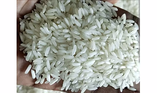 Basmati/Non Basmati Rice
