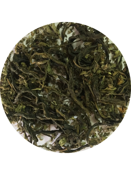 Tulsi Green Tea-CDF005