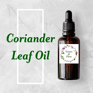 Coriander Leaf Oil