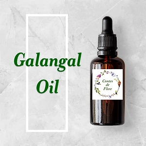 Galangal Oil