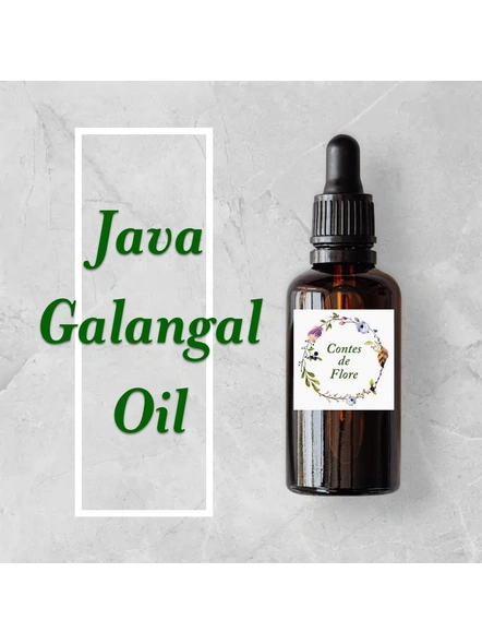 Java Galangal Oil-oil-53