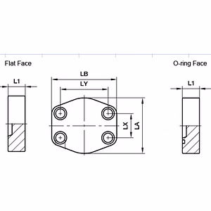 SAE BLANKING FLANGE- 3000 Series