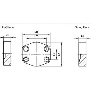 SAE BLANKING FLANGE- 6000 Series