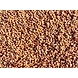 Jowar-MCDC-04-sm